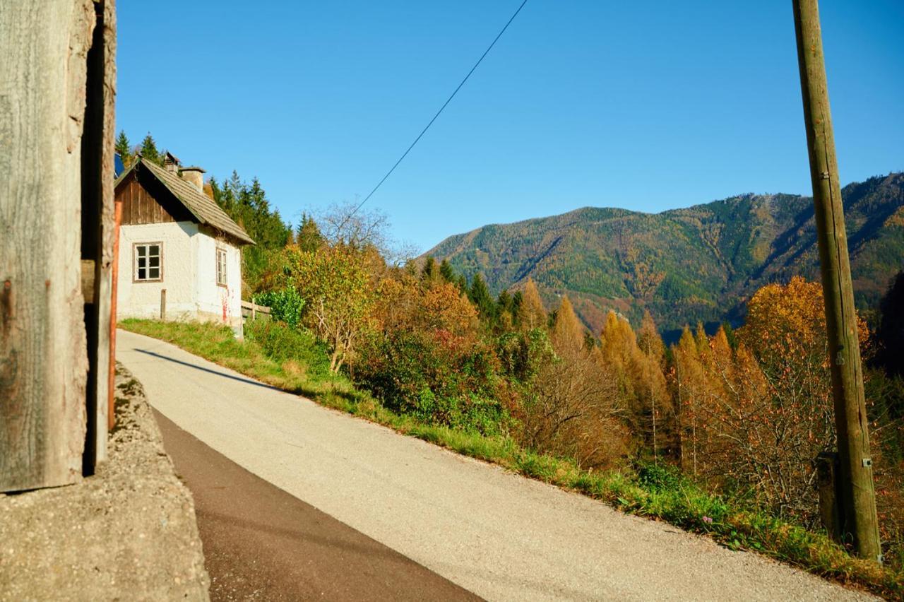 Romantische Ferienhuette Nationalpark Kalkalpen, Sonnig, 2 Schlafzimmer, Wlan Kleinreifling Kültér fotó