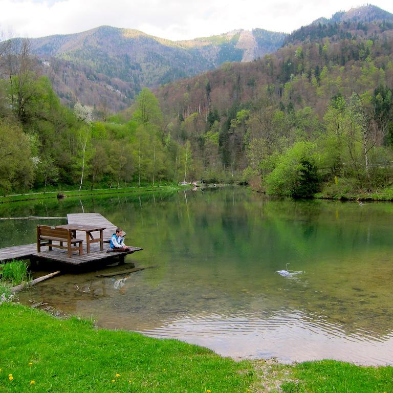 Romantische Ferienhuette Nationalpark Kalkalpen, Sonnig, 2 Schlafzimmer, Wlan Kleinreifling Kültér fotó