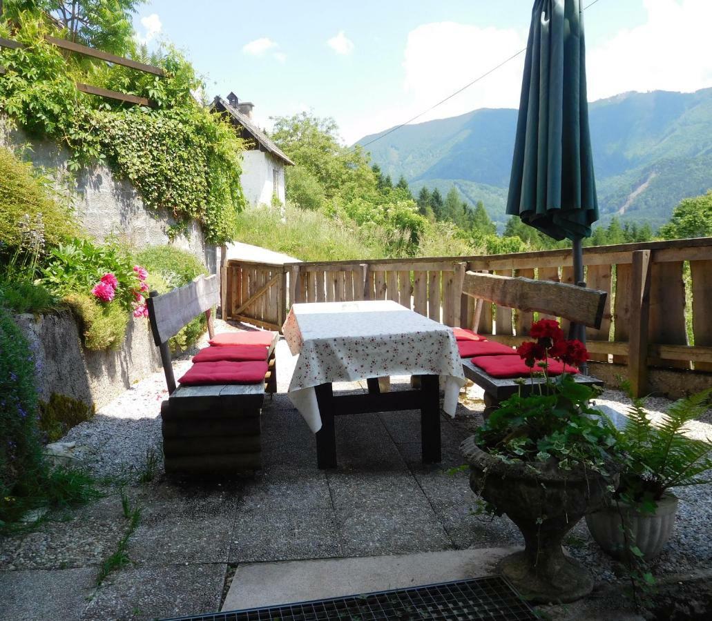 Romantische Ferienhuette Nationalpark Kalkalpen, Sonnig, 2 Schlafzimmer, Wlan Kleinreifling Kültér fotó