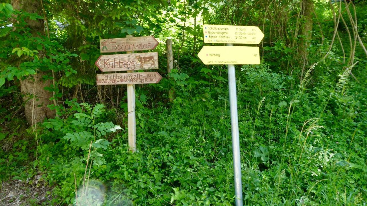 Romantische Ferienhuette Nationalpark Kalkalpen, Sonnig, 2 Schlafzimmer, Wlan Kleinreifling Kültér fotó