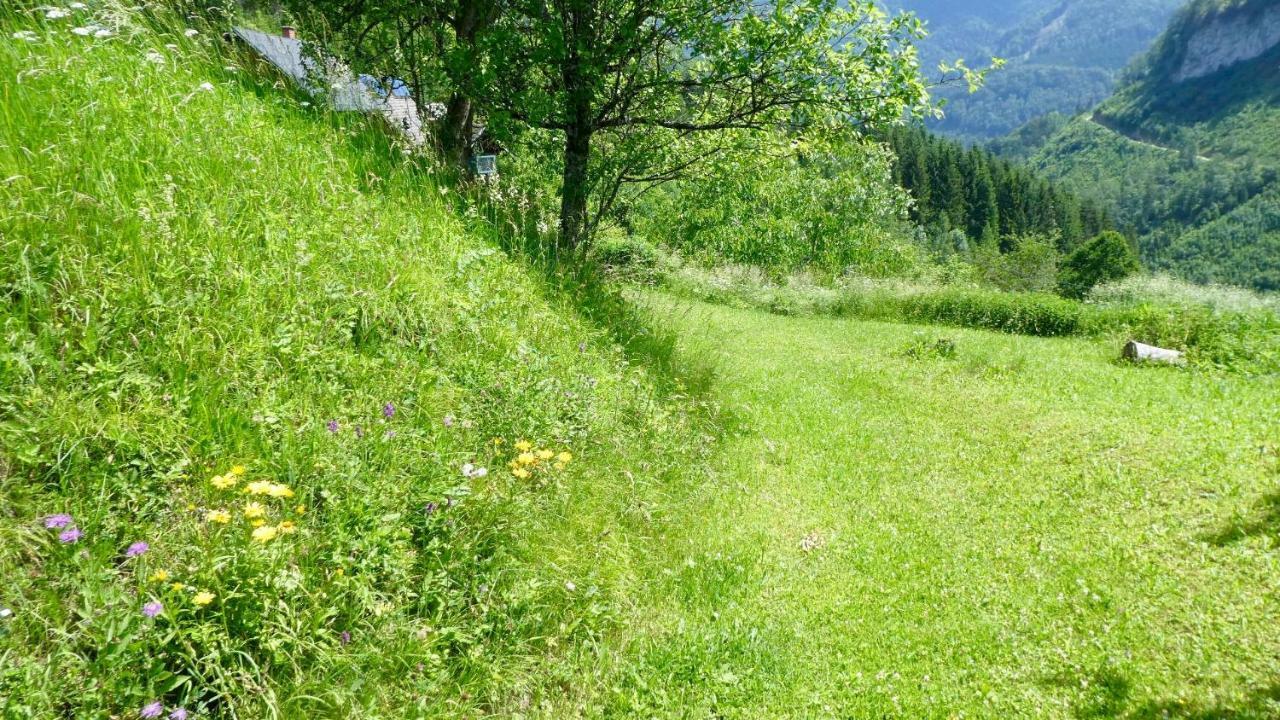 Romantische Ferienhuette Nationalpark Kalkalpen, Sonnig, 2 Schlafzimmer, Wlan Kleinreifling Kültér fotó